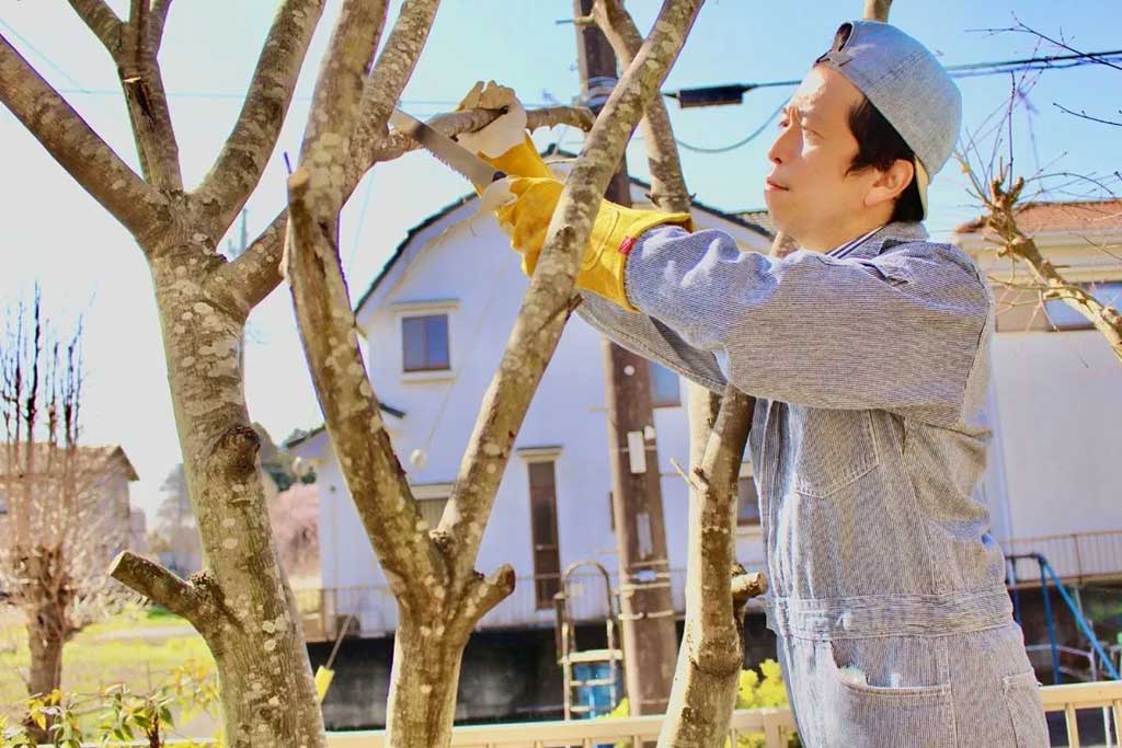 木の伐採・雑草の駆除